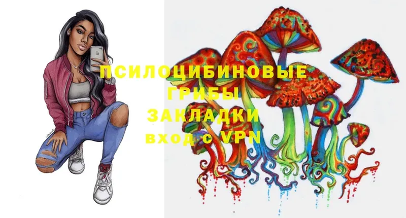 Галлюциногенные грибы Magic Shrooms  Волчанск 